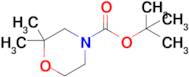 tert-Butyl 2,2-dimethylmorpholine-4-carboxylate