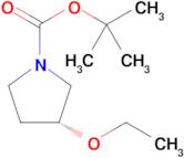 (R)-tert-Butyl 3-ethoxypyrrolidine-1-carboxylate