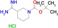 tert-Butyl 3-carbamimidoylpiperidine-1-carboxylate hydrochloride