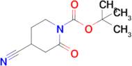 tert-Butyl 4-cyano-2-oxopiperidine-1-carboxylate