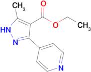 ethyl 5-methyl-3-(pyridin-4-yl)-1H-pyrazole-4-carboxylate