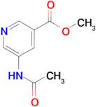 Methyl 5-acetamidonicotinate