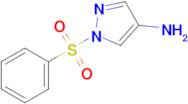 1-(Phenylsulfonyl)-1H-pyrazol-4-amine