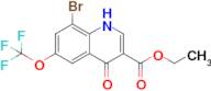 ethyl 8-bromo-4-oxo-6-(trifluoromethoxy)-1,4-dihydroquinoline-3-carboxylate