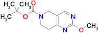 tert-Butyl 2-methoxy-7,8-dihydropyrido[4,3-d]pyrimidine-6(5H)-carboxylate