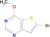 6-Bromo-4-methoxythieno[3,2-d]pyrimidine