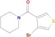 (4-Bromothiophen-3-yl)(piperidin-1-yl)methanone