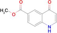 Methyl 4-oxo-1,4-dihydroquinoline-6-carboxylate