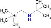 2-Methyl-N-((trimethylsilyl)methyl)propan-2-amine