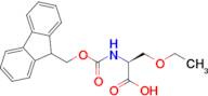 (S)-2-((((9H-Fluoren-9-yl)methoxy)carbonyl)amino)-3-ethoxypropanoic acid