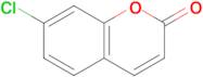 7-Chloro-2H-chromen-2-one