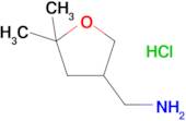 (5,5-Dimethyltetrahydrofuran-3-yl)methanamine hydrochloride