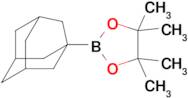 2-(Adamantan-1-yl)-4,4,5,5-tetramethyl-1,3,2-dioxaborolane