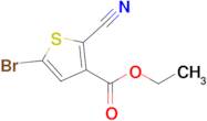 Ethyl 5-bromo-2-cyanothiophene-3-carboxylate