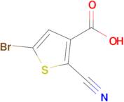 5-Bromo-2-cyanothiophene-3-carboxylic acid