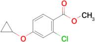 Methyl 2-chloro-4-cyclopropoxybenzoate