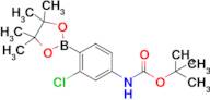 tert-Butyl (3-chloro-4-(4,4,5,5-tetramethyl-1,3,2-dioxaborolan-2-yl)phenyl)carbamate