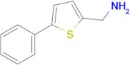 (5-Phenylthiophen-2-yl)methanamine