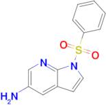 1-(Phenylsulfonyl)-1H-pyrrolo[2,3-b]pyridin-5-amine