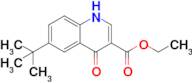 ethyl 6-tert-butyl-4-oxo-1,4-dihydroquinoline-3-carboxylate