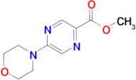 Methyl 5-morpholinopyrazine-2-carboxylate