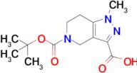 5-(tert-Butoxycarbonyl)-1-methyl-4,5,6,7-tetrahydro-1H-pyrazolo[4,3-c]pyridine-3-carboxylic acid