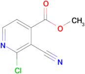 Methyl 2-chloro-3-cyanoisonicotinate