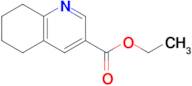 Ethyl 5,6,7,8-tetrahydroquinoline-3-carboxylate