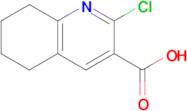 2-Chloro-5,6,7,8-tetrahydroquinoline-3-carboxylic acid