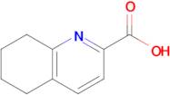 5,6,7,8-Tetrahydroquinoline-2-carboxylic acid