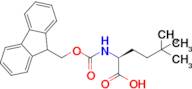 (S)-2-((((9H-Fluoren-9-yl)methoxy)carbonyl)amino)-5,5-dimethylhexanoic acid