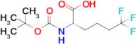 (S)-2-((tert-Butoxycarbonyl)amino)-6,6,6-trifluorohexanoic acid