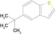 5-(tert-Butyl)benzo[b]thiophene