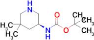 tert-Butyl (S)-(5,5-dimethylpiperidin-3-yl)carbamate