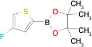 2-(4-Fluorothiophen-2-yl)-4,4,5,5-tetramethyl-1,3,2-dioxaborolane