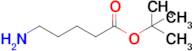 Tert-Butyl 5-aminopentanoate