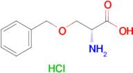 O-Benzyl-D-serine hydrochloride