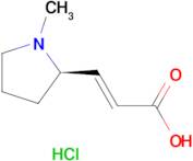 (R,E)-3-(1-Methylpyrrolidin-2-yl)acrylic acid hydrochloride