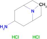 9-Methyl-9-azabicyclo[3.3.1]nonan-3-amine dihydrochloride