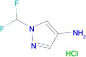1-(Difluoromethyl)-1H-pyrazol-4-amine hydrochloride