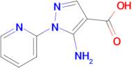 5-Amino-1-pyridin-2-yl-1h-pyrazole-4-carboxylic acid