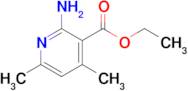 Ethyl 2-amino-4,6-dimethylnicotinate