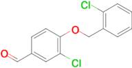 3-Chloro-4-[(2-chlorobenzyl)oxy]benzaldehyde