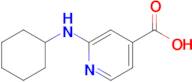 2-(Cyclohexylamino)isonicotinic acid