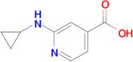 2-(Cyclopropylamino)isonicotinic acid