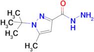 1-(tert-Butyl)-5-methyl-1H-pyrazole-3-carbohydrazide