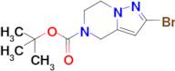 tert-Butyl 2-bromo-6,7-dihydropyrazolo[1,5-a]pyrazine-5(4H)-carboxylate