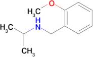 [(2-Methoxyphenyl)methyl](propan-2-yl)amine