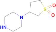 3-Piperazin-1-ylthiolane 1,1-dioxide