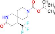 tert-Butyl (5S)-3-oxo-5-(trifluoromethyl)-2,9-diazaspiro[5.5]undecane-9-carboxylate